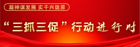 “三抓三促”行動進行時